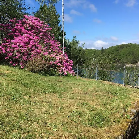 Iv Feriehus *